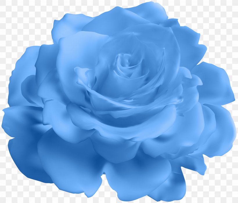 Blue Rose Garden Roses Cabbage Rose Clip Art, PNG, 8000x6830px, Blue Rose, Blue, Cabbage Rose, Cobalt Blue, Cut Flowers Download Free