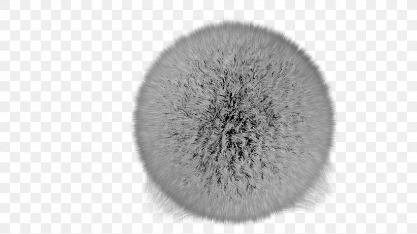 Brush Fur, PNG, 1920x1080px, Brush, Black And White, Fur, Hardware Download Free