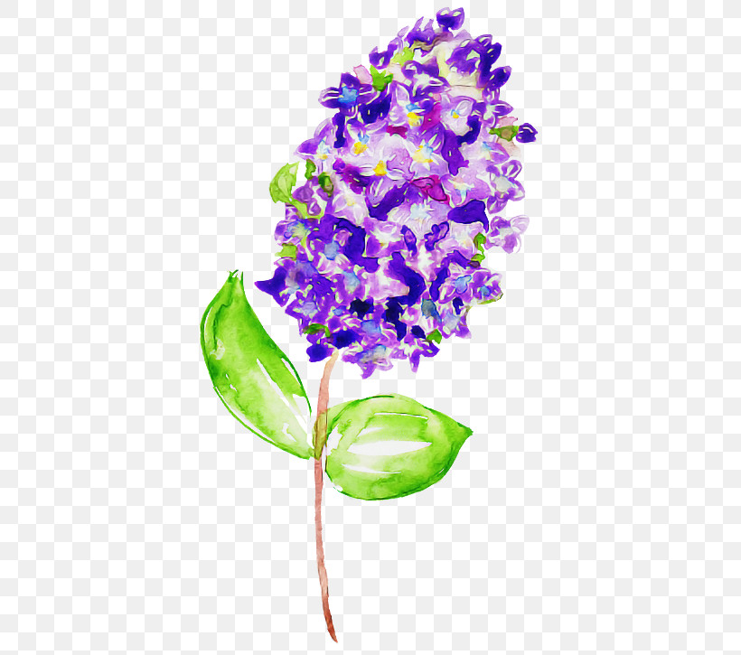 Flower Purple Violet Plant Lilac, PNG, 405x725px, Flower, Cut Flowers, Dendrobium, Lilac, Orchid Download Free