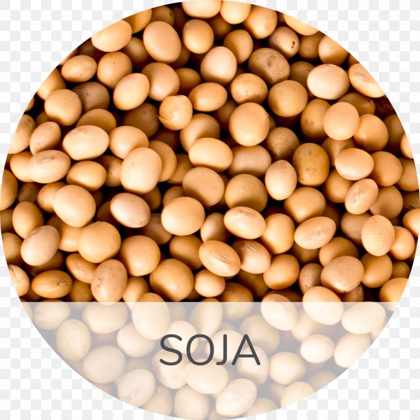 Soybean Muscle Disease Business Food, PNG, 1000x1000px, Soybean, Bean, Blood Pressure, Business, Commodity Download Free