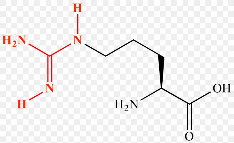 Amino Acid Amine Guanidine Protein Lewis Structure Png 908x557px Amino Acid Acid Alpha And Beta Carbon