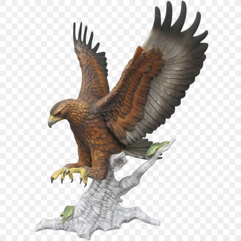 Bald Eagle Bird Golden Eagle Accipitriformes, PNG, 990x990px, Bald Eagle, Accipitriformes, Animal, Beak, Bird Download Free