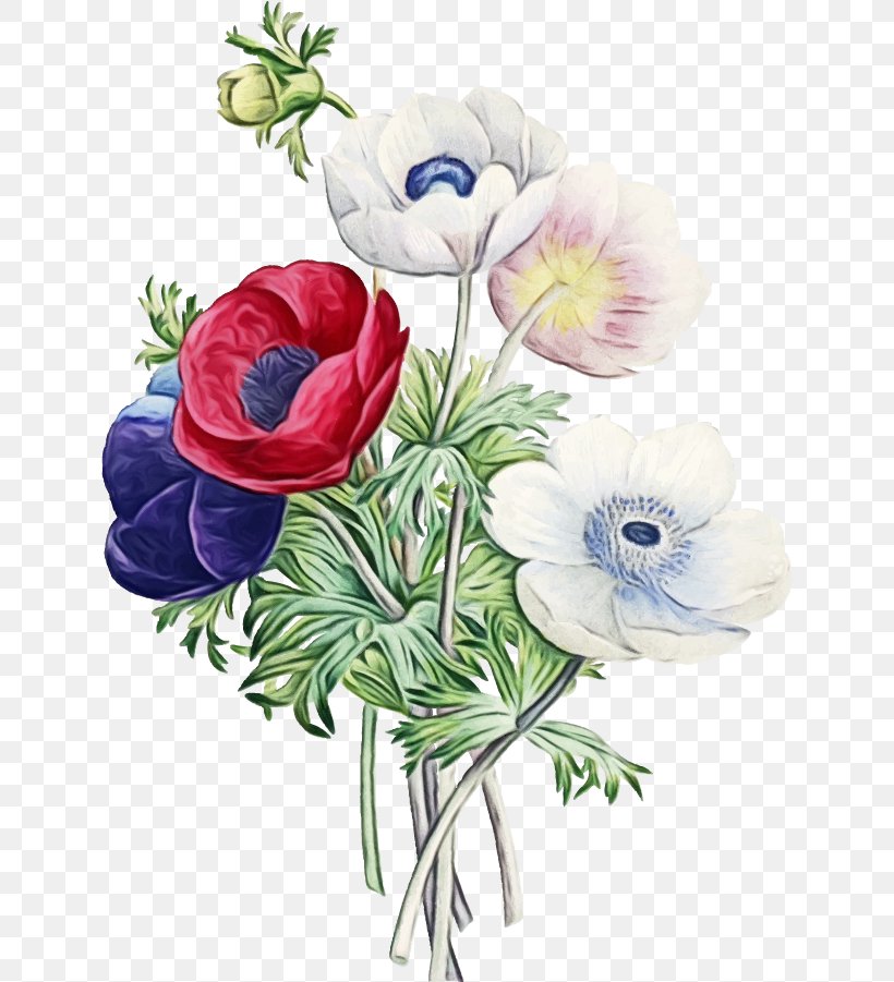 Bouquet Of Flowers Drawing, PNG, 634x901px, Watercolor, Anemone, Anthurium, Artificial Flower, Bouquet Download Free