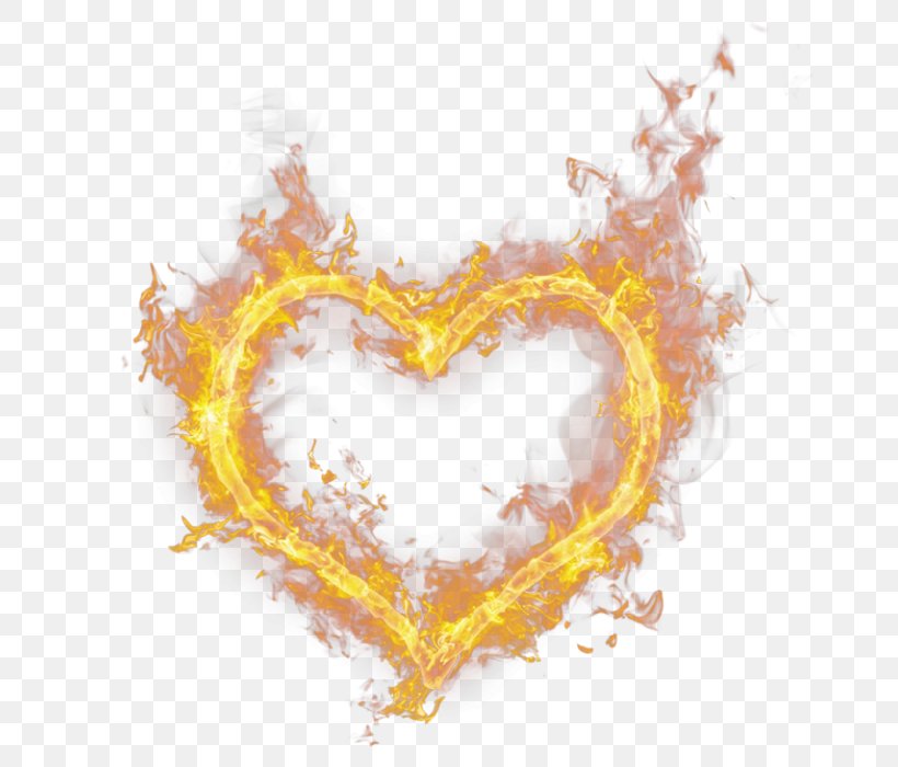 Flame Fire, PNG, 700x700px, Flame, Burning Up Inside, Dj Kavaler, Fire, Heart Download Free