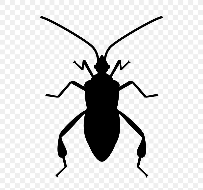 Insect Software Bug Bug Swatter, PNG, 768x768px, Insect, Arthropod, Beetle, Black And White, Bug Swatter Download Free