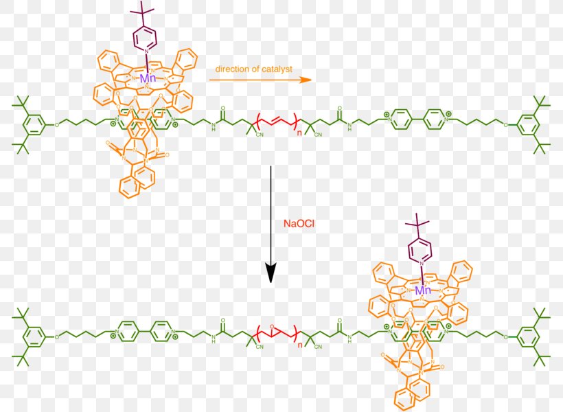 Supramolecular Catalysis Supramolecular Chemistry Crabtree's Catalyst Rotaxane, PNG, 787x600px, Supramolecular Catalysis, Active Site, Area, Art, Body Jewelry Download Free