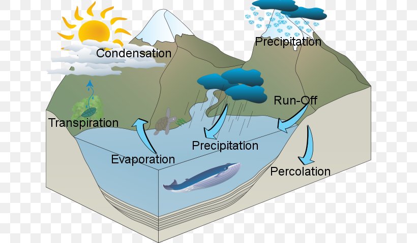 Water Resources Water Cycle, PNG, 640x479px, Water Resources, Diagram, Drawing, Editing, Hydrology Download Free
