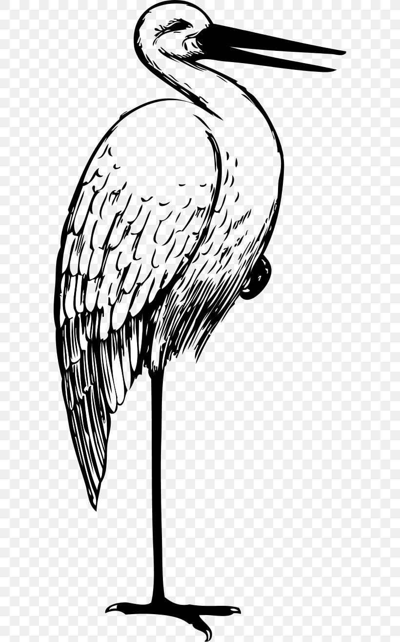 White Stork Drawing Clip Art, PNG, 600x1313px, White Stork, Art, Artwork, Asian Openbill, Beak Download Free