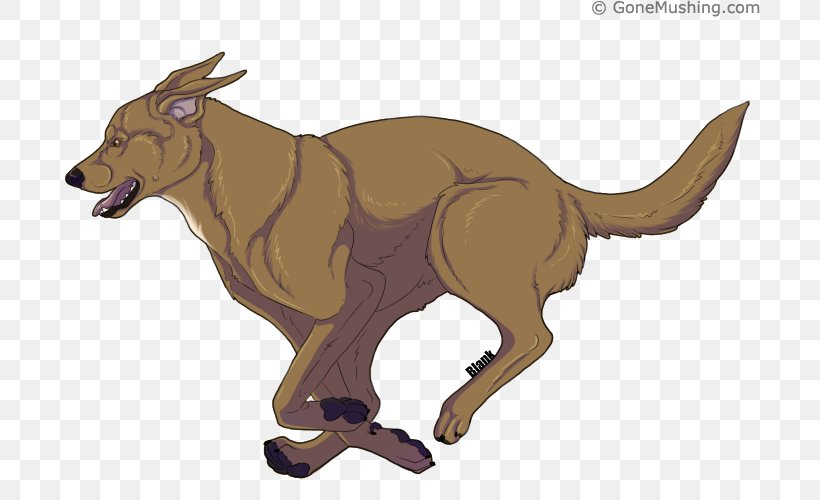 Dog Cattle Kangaroo Character Tail, PNG, 700x500px, Dog, Animated Cartoon, Carnivoran, Cattle, Cattle Like Mammal Download Free