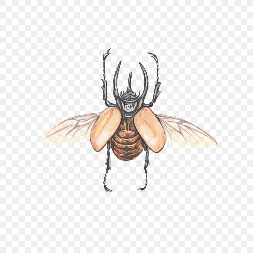 Insect Cartoon Wing House Fly Drawing, PNG, 1500x1500px, Watercolor, Cartoon, Drawing, Fly, House Fly Download Free