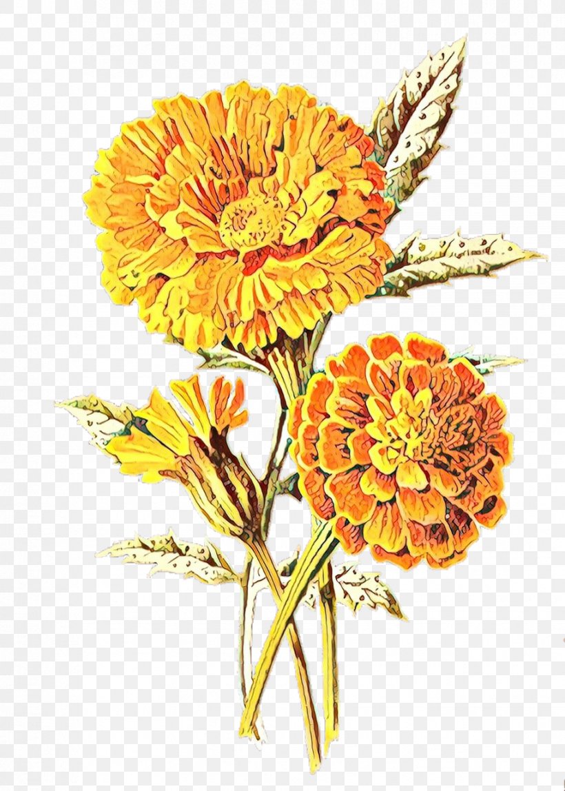 Mexican Marigold East Urban Home Flower Design Art, PNG, 914x1280px, Mexican Marigold, Art, Artificial Flower, Botanical Illustration, Botany Download Free