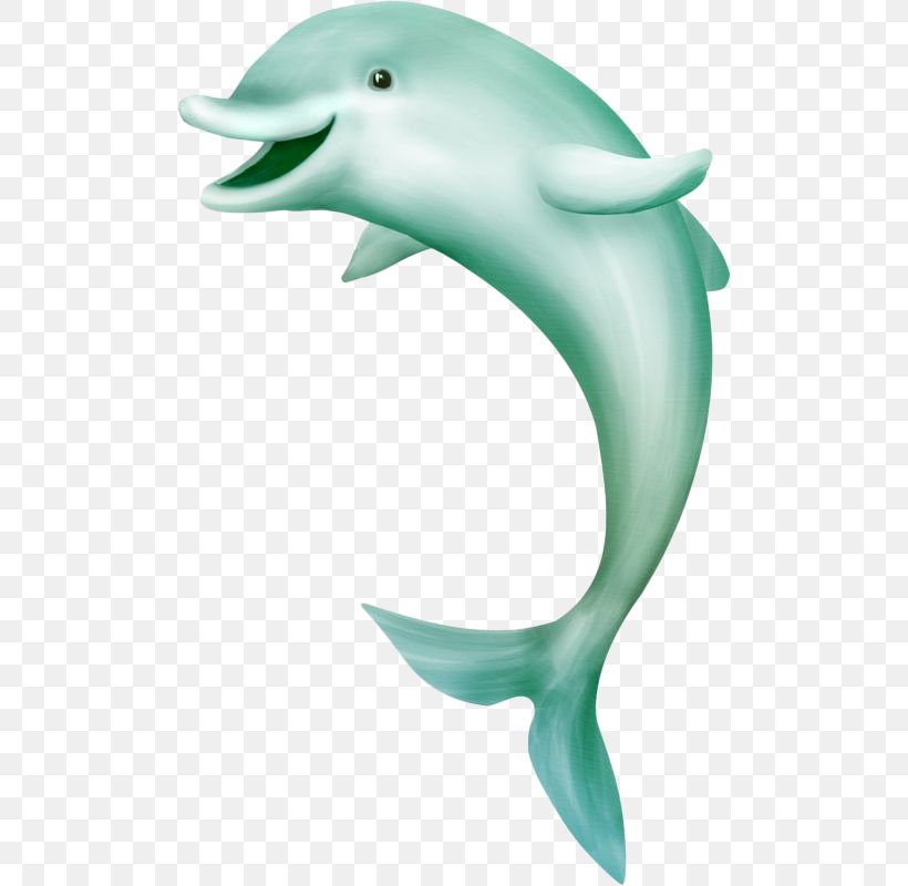 Sea Whale Digital Image Clip Art, PNG, 499x800px, Sea, Beach, Beak, Common Bottlenose Dolphin, Digital Image Download Free