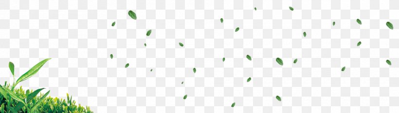 Brand Pattern, PNG, 1920x550px, Brand, Grass, Green, Text Download Free