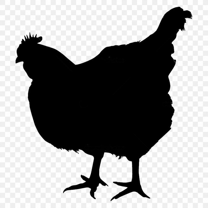 Chicken Royalty-free Photography Rooster, PNG, 950x950px, Chicken, Beak, Bird, Black And White, Fauna Download Free