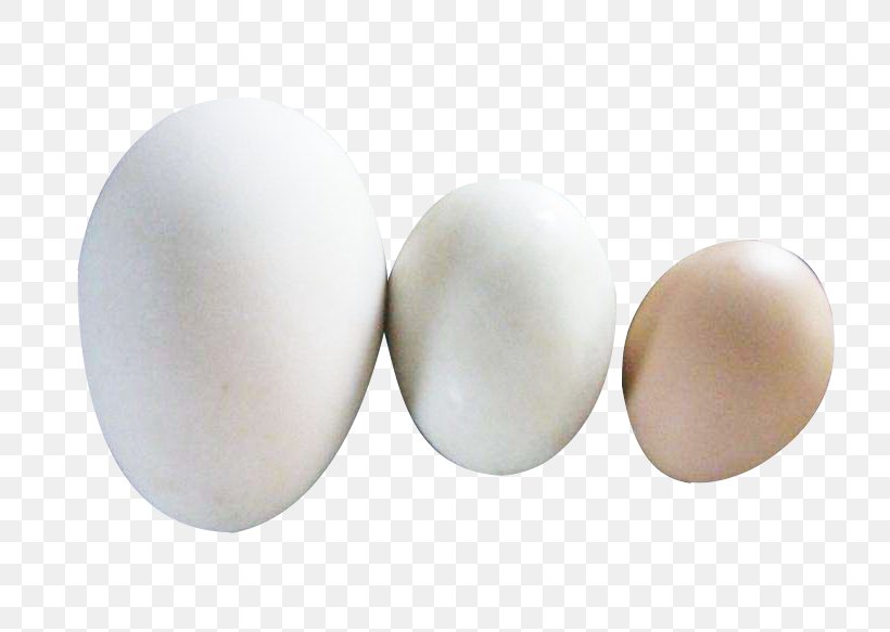 Egg, PNG, 780x583px, Egg Download Free