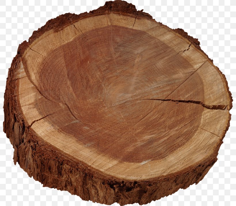 Firewood Tree Hardwood International Tropical Timber Agreement, 2006, PNG, 800x717px, Wood, Branch, Building Material, Consultant, Firewood Download Free