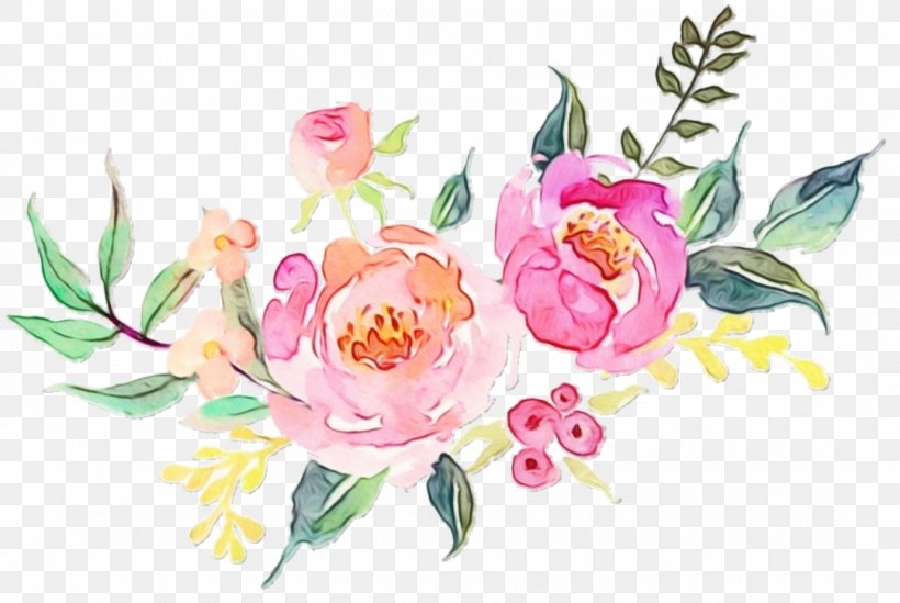 Flowering Plant Flower Pink Common Peony Plant, PNG, 1080x724px, Watercolor, Chinese Peony, Common Peony, Cut Flowers, Flower Download Free