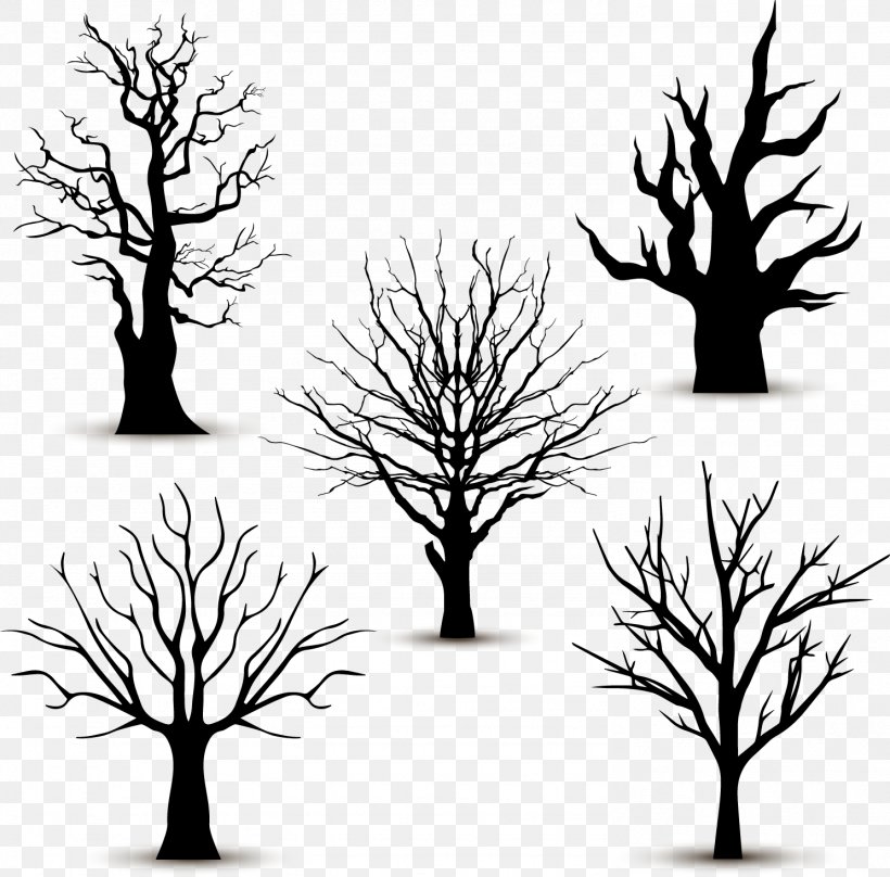 Tree Silhouette Euclidean Vector, PNG, 1487x1467px, Tree, Black And White, Branch, Broad Leaved Tree, Illustration Download Free