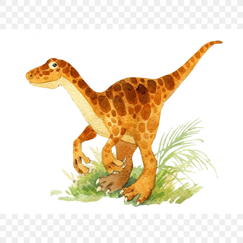 Velociraptor Dinosaur Illustration Drawing Watercolor Painting, PNG, 1000x1000px, Velociraptor, Animal Figure, Dinosaur, Drawing, Fauna Download Free
