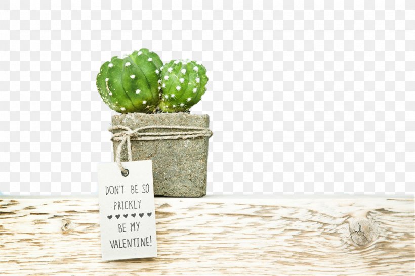 Wedding Invitation Save The Date Succulent Plant Cactaceae Paper, PNG, 1024x682px, Wedding Invitation, Brand, Cactaceae, Color, Desert Download Free