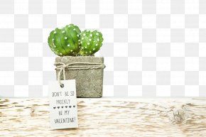 Cactus - Wedding Invitation Save The Date Succulent Plant Cactaceae Paper PNG