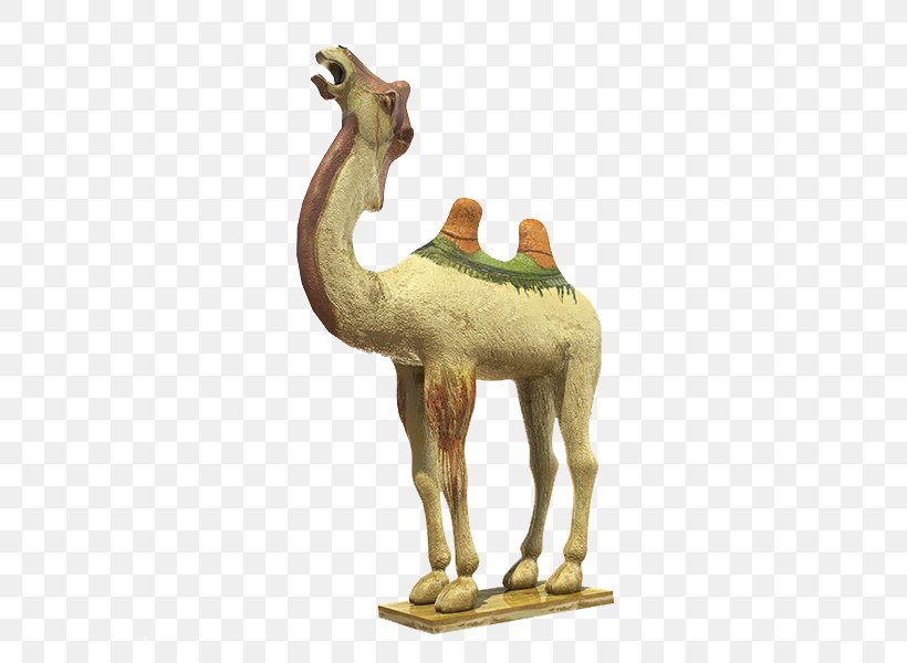 Dromedary One Belt One Road Initiative Silk Road, PNG, 600x600px, Dromedary, Antique, Arabian Camel, Camel, Camel Like Mammal Download Free
