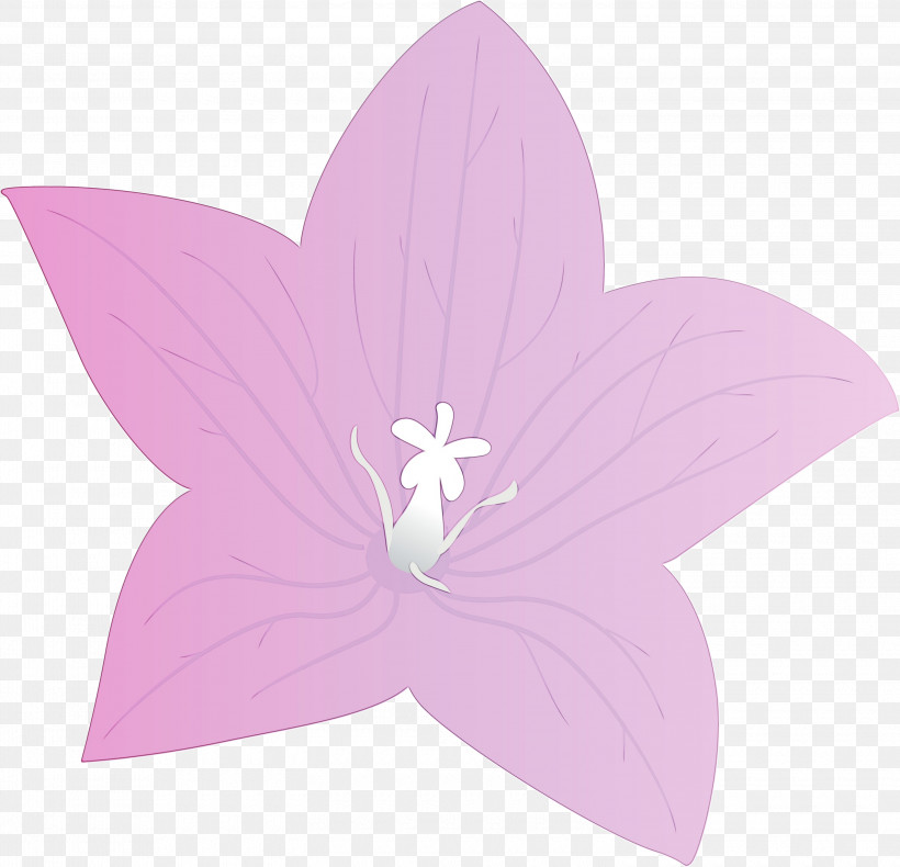 Lavender, PNG, 3000x2892px, Balloon Flower, Flower, Lavender, Paint, Petal Download Free