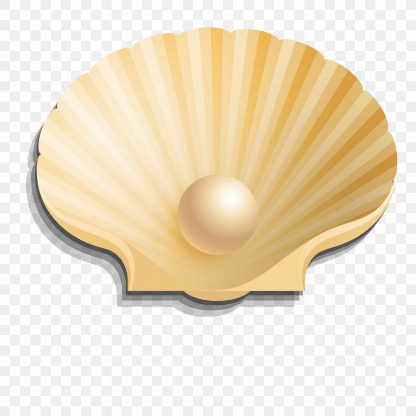 Seashell Pearl Euclidean Vector, PNG, 1181x1181px, 3d Computer Graphics, Seashell, Material, Pearl, Stock Photography Download Free