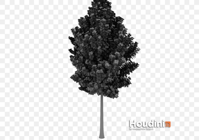 Spruce Fir Pine Christmas Tree, PNG, 720x576px, Spruce, Black And White, Christmas, Christmas Tree, Conifer Download Free
