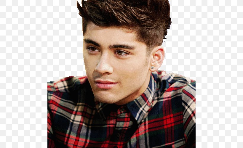 Zayn Malik One Direction: Forever Young Bradford, PNG, 500x500px, Watercolor, Cartoon, Flower, Frame, Heart Download Free