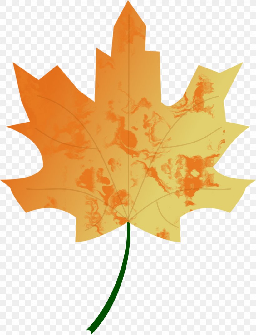 Autumn Leaf Color Clip Art, PNG, 1714x2242px, Leaf, Autumn, Autumn Leaf Color, Flowering Plant, Maple Leaf Download Free