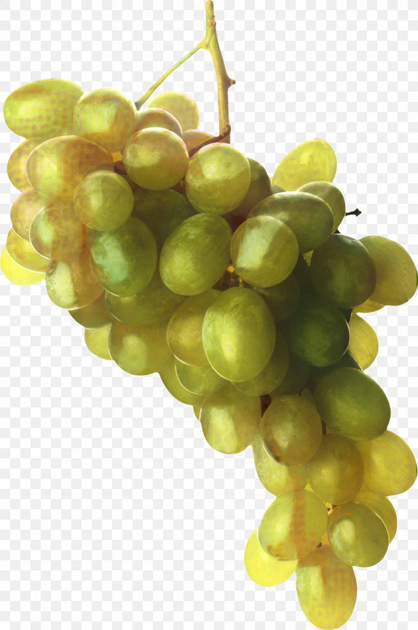 Flower Leaves, PNG, 1434x2164px, Grape, Berries, Common Grape Vine, Flower, Food Download Free