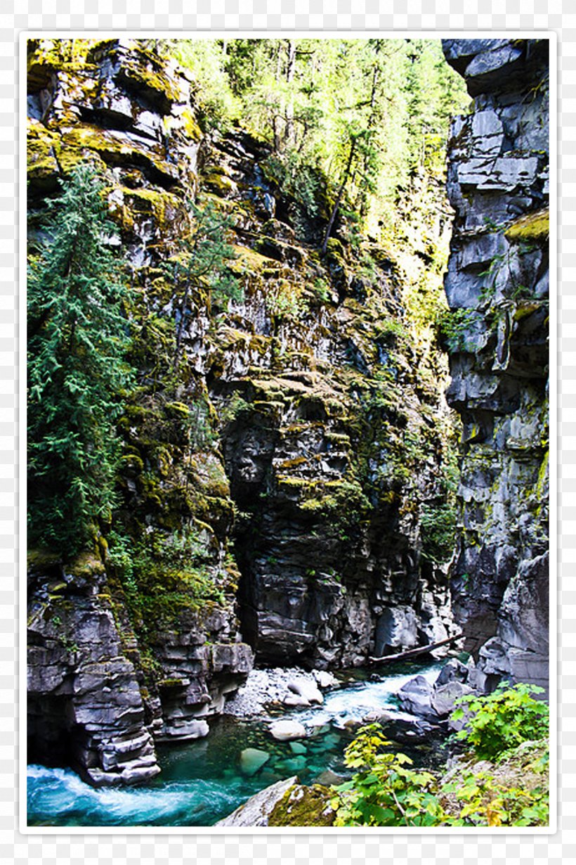 Stream Coquihalla Canyon Provincial Park Nature Reserve Rainforest Water Resources, PNG, 1200x1800px, Stream, Escarpment, Fluvial Landforms Of Streams, Forest, Formation Download Free