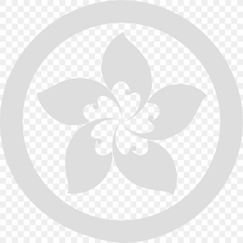 White Circle, PNG, 1066x1066px, White, Black And White, Flower, Petal, Plant Download Free