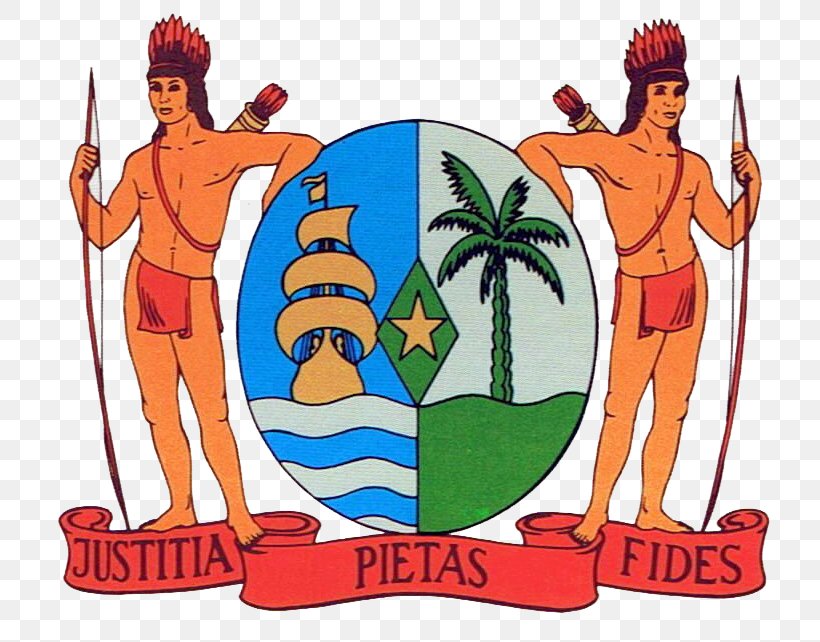 Coat Of Arms Of Suriname T-shirt Flag Of Suriname, PNG, 762x642px, Suriname, Art, Artwork, Cartoon, Coat Download Free
