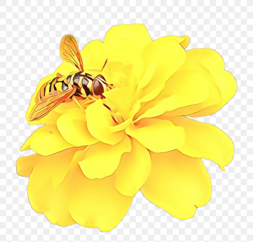 Flowers Background, PNG, 2044x1956px, Cartoon, Bee, Bumblebee, Cut Flowers, Fashion Accessory Download Free