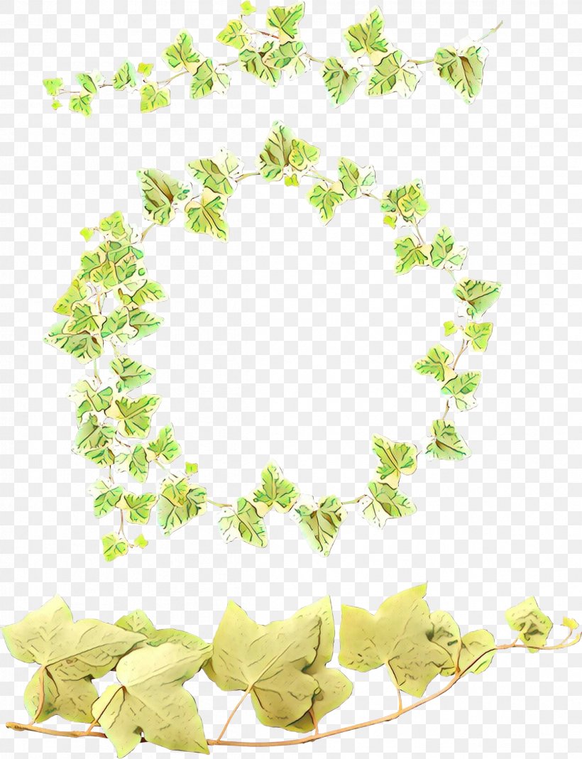 Leaves Background, PNG, 2399x3130px, Cartoon, Bay Laurel, Common Grape Vine, Drawing, Flower Download Free