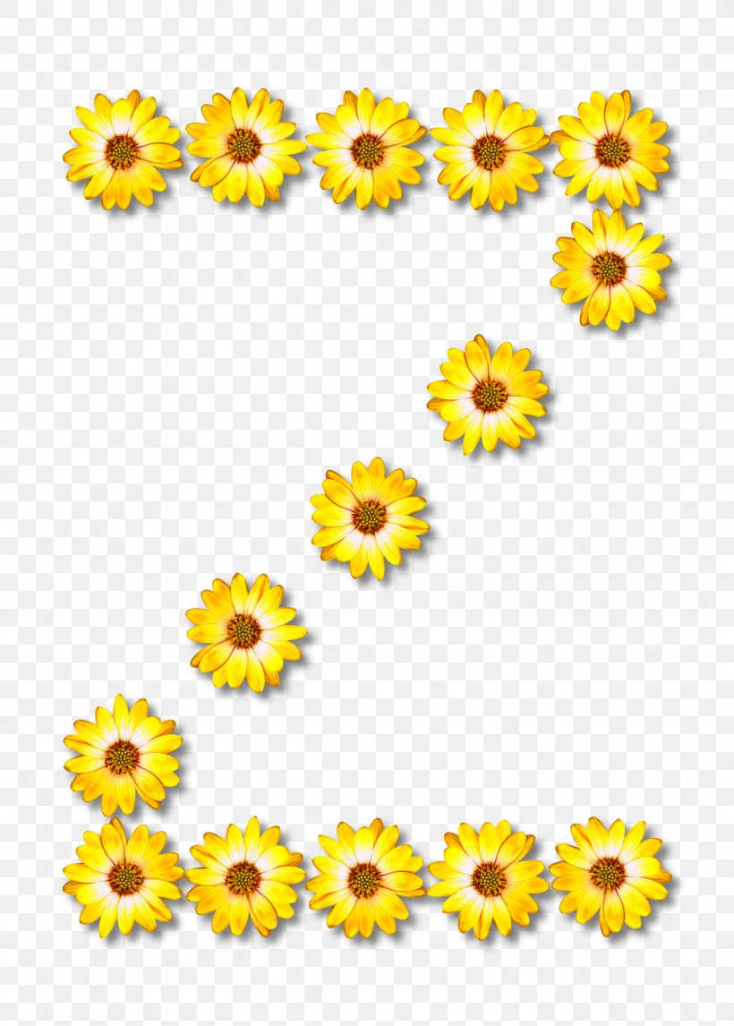 Letter Alphabet Writing Clip Art, PNG, 1717x2400px, Letter, Alphabet, Calendula, Chrysanths, Common Sunflower Download Free