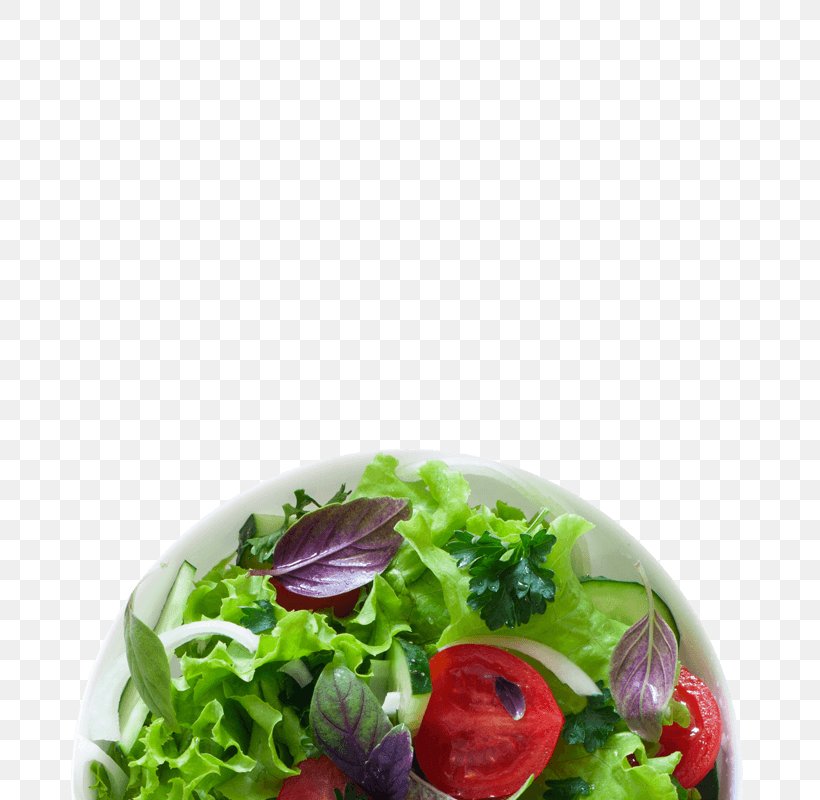 Lettuce Salad Vegetable Vegetarian Cuisine Radish, PNG, 800x800px, Lettuce, Basil, Bean, Cucumber, Dish Download Free