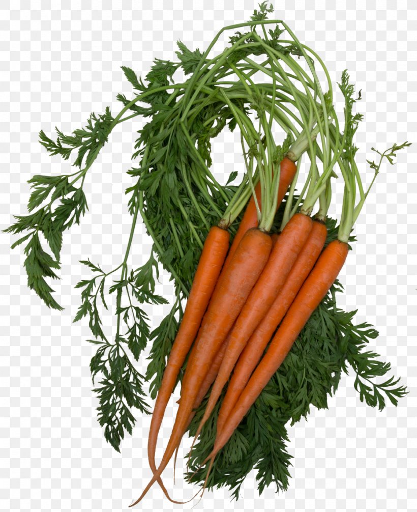 Baby Carrot Food Beetroot Orange Vitamin, PNG, 1124x1379px, Baby Carrot, Antioxidant, Beetroot, Betacarotene, Carotene Download Free