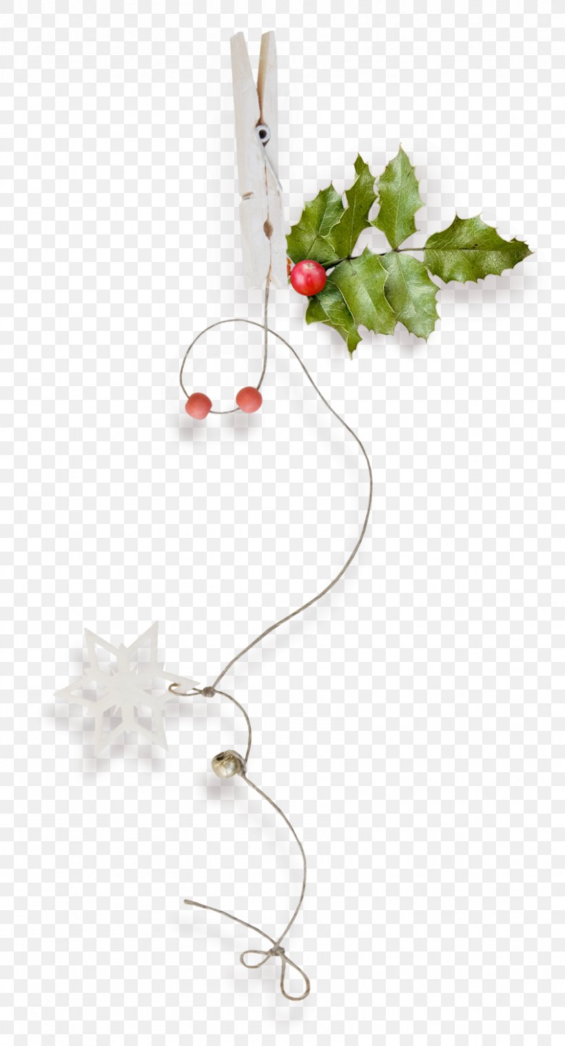 Christmas Ornament Data Christmas Tree, PNG, 845x1564px, Christmas, Advent Wreath, Body Jewelry, Christmas Ornament, Christmas Tree Download Free
