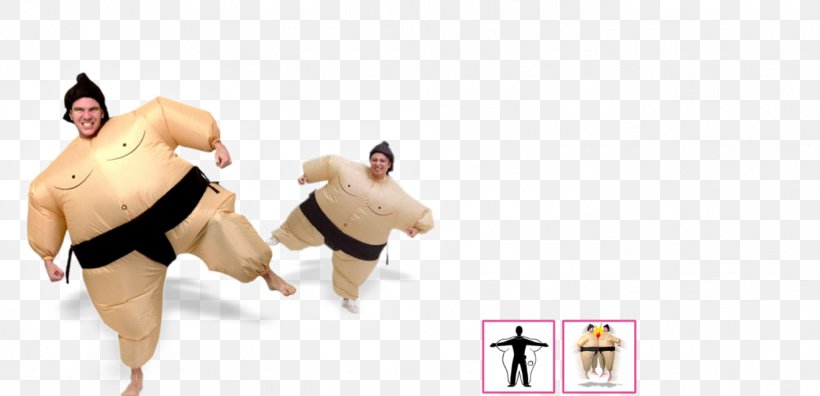 Costume Sumo Gift Online Shopping, PNG, 1345x650px, Costume, Arm, Artikel, Carnival, Clothing Download Free