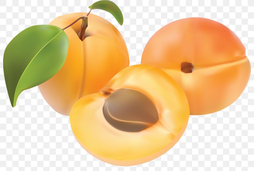 Peach Apricot, PNG, 800x553px, Peach, Apricot, Diet Food, Drawing, Food Download Free