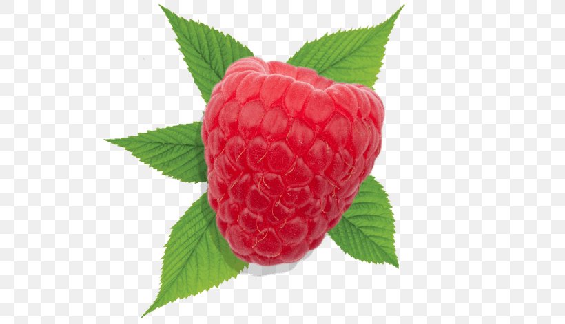 Strawberry Raspberry Driscoll's Auglis, PNG, 541x471px, Strawberry, Auglis, Berry, Carpel, Food Download Free