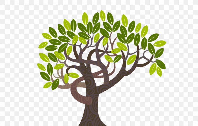 Tree Curve Illustration, PNG, 1067x677px, Tree, Arbor Day, Branch, Cdr, Color Download Free