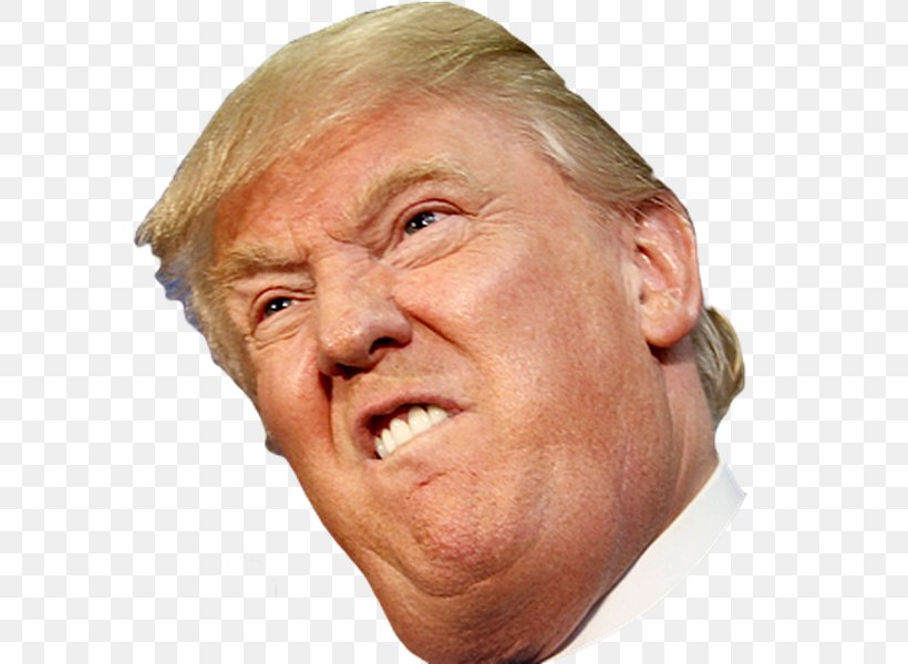 Donald Trump United States Crippled America YouTube Politician, PNG, 600x600px, Donald Trump, Cheek, Chin, Close Up, Crippled America Download Free