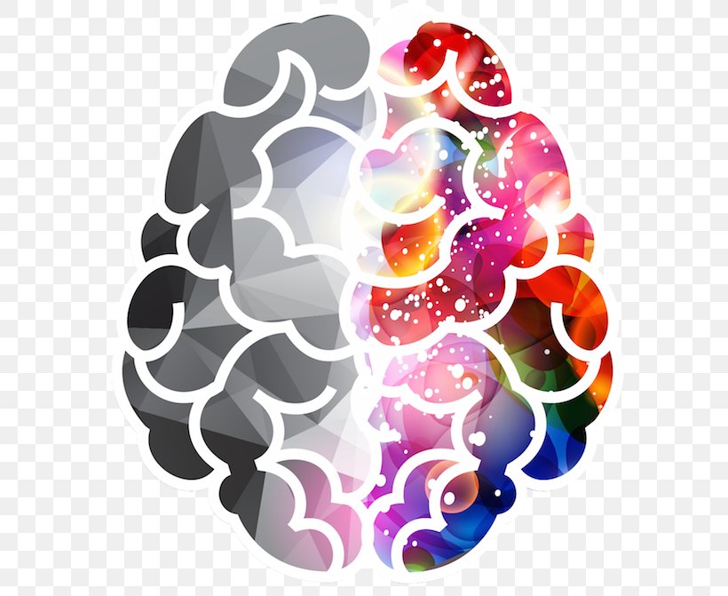 Lateralization Of Brain Function Human Brain, PNG, 600x671px, Brain, Cerebral Hemisphere, Designer, Human Brain, Lateralization Of Brain Function Download Free