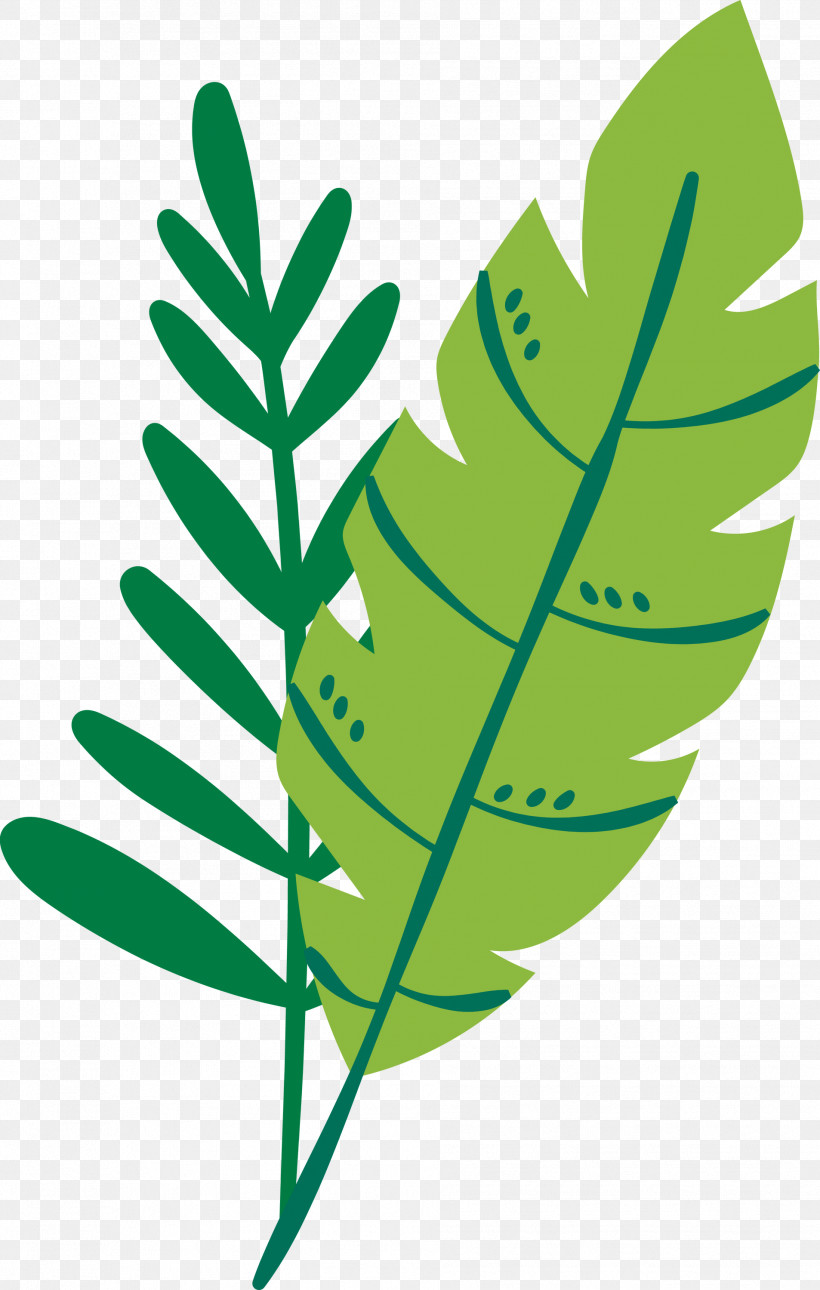Leaf Plant Stem M-tree Line Tree, PNG, 1906x2999px, Leaf, Biology, Line, Mtree, Plant Stem Download Free
