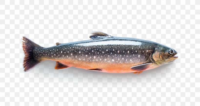 Sardine Salmon Fish Products Trout, PNG, 1200x640px, Sardine, Arctic Char, Bony Fish, Cutthroat Trout, European Pilchard Download Free