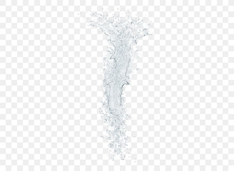 Tree Water Font, PNG, 600x600px, Tree, Water Download Free